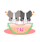 飛び出す！ちびパピヨン18【夏】（個別スタンプ：4）