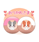飛び出す！ちびパピヨン18【夏】（個別スタンプ：8）