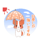 飛び出す！ちびパピヨン18【夏】（個別スタンプ：18）
