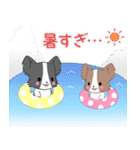 飛び出す！ちびパピヨン18【夏】（個別スタンプ：19）