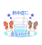 飛び出す！ちびパピヨン18【夏】（個別スタンプ：21）