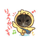 ちゃぴもかすみこ第5弾（個別スタンプ：3）