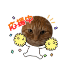 ちゃぴもかすみこ第5弾（個別スタンプ：4）