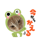 ちゃぴもかすみこ第5弾（個別スタンプ：5）