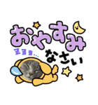 ちゃぴもかすみこ第5弾（個別スタンプ：6）