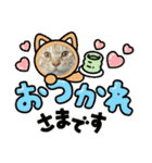 ちゃぴもかすみこ第5弾（個別スタンプ：8）