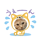 ちゃぴもかすみこ第5弾（個別スタンプ：14）