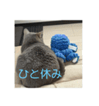 ちゃぴもかすみこ第5弾（個別スタンプ：18）