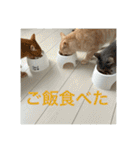 ちゃぴもかすみこ第5弾（個別スタンプ：28）