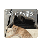 ちゃぴもかすみこ第5弾（個別スタンプ：32）