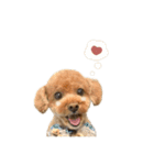 つくねくん☆つぶやきスタンダード（個別スタンプ：20）