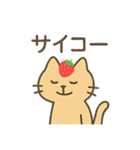 いちごのせねこ 〜ゆるっと日常〜（個別スタンプ：8）