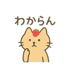 いちごのせねこ 〜ゆるっと日常〜（個別スタンプ：19）