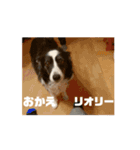 うごくぞ！りおえりじぇりっかぷん（個別スタンプ：4）