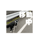 うごくぞ！りおえりじぇりっかぷん（個別スタンプ：6）