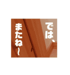 うごくぞ！りおえりじぇりっかぷん（個別スタンプ：9）
