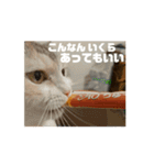 うごくぞ！りおえりじぇりっかぷん（個別スタンプ：10）