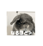 うごくぞ！りおえりじぇりっかぷん（個別スタンプ：14）