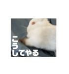 うごくぞ！りおえりじぇりっかぷん（個別スタンプ：15）