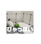 うごくぞ！りおえりじぇりっかぷん（個別スタンプ：16）