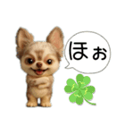 AIチワワのらんちゃんシンプルスタンプ①（個別スタンプ：33）