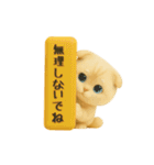 いろんな猫ちゃん3Dスタンプ！日常編◎（個別スタンプ：10）
