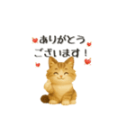 いろんな猫ちゃん3Dスタンプ！日常編◎（個別スタンプ：13）