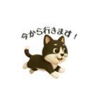 いろんな猫ちゃん3Dスタンプ！日常編◎（個別スタンプ：21）
