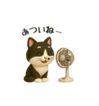 いろんな猫ちゃん3Dスタンプ！日常編◎（個別スタンプ：24）