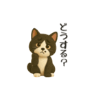 いろんな猫ちゃん3Dスタンプ！日常編◎（個別スタンプ：33）