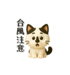 いろんな猫ちゃん3Dスタンプ！日常編◎（個別スタンプ：35）