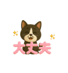 いろんな猫ちゃん3Dスタンプ！日常編◎（個別スタンプ：36）