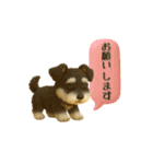 いろんなワンちゃん3Dスタンプ！日常編2（個別スタンプ：23）