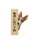 いろんなワンちゃん3Dスタンプ！日常編◎（個別スタンプ：10）