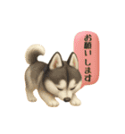 いろんなワンちゃん3Dスタンプ！日常編◎（個別スタンプ：23）