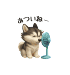 いろんなワンちゃん3Dスタンプ！日常編◎（個別スタンプ：24）