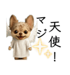 AIチワワのらんちゃんシンプルスタンプ②（個別スタンプ：17）