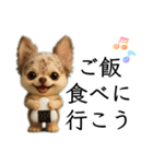 AIチワワのらんちゃんシンプルスタンプ②（個別スタンプ：32）