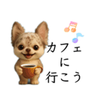 AIチワワのらんちゃんシンプルスタンプ②（個別スタンプ：34）