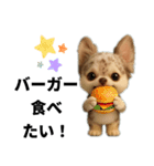AIチワワのらんちゃんシンプルスタンプ②（個別スタンプ：35）
