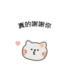 ポポねこちゃんのやさしい気遣い｜台湾語（個別スタンプ：2）