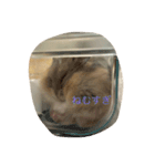 kハムちゃんず（個別スタンプ：23）