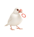 (自称)我、最強の白文鳥（個別スタンプ：5）