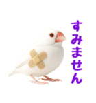 (自称)我、最強の白文鳥（個別スタンプ：11）