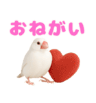 (自称)我、最強の白文鳥（個別スタンプ：12）