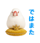 (自称)我、最強の白文鳥（個別スタンプ：16）