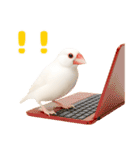 (自称)我、最強の白文鳥（個別スタンプ：21）