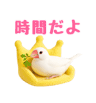 (自称)我、最強の白文鳥（個別スタンプ：23）