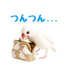 (自称)我、最強の白文鳥（個別スタンプ：25）