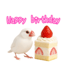 (自称)我、最強の白文鳥（個別スタンプ：26）